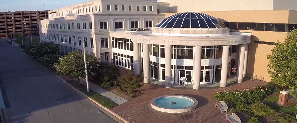 EVMS Brickell Library